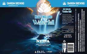 OMNIUM NEW ENGLAND WATERFALL NEIPA 4-PACK